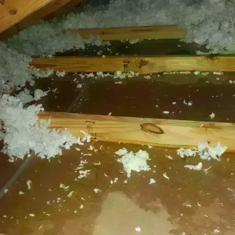 Attic Water Damage in Hawthorne, CA