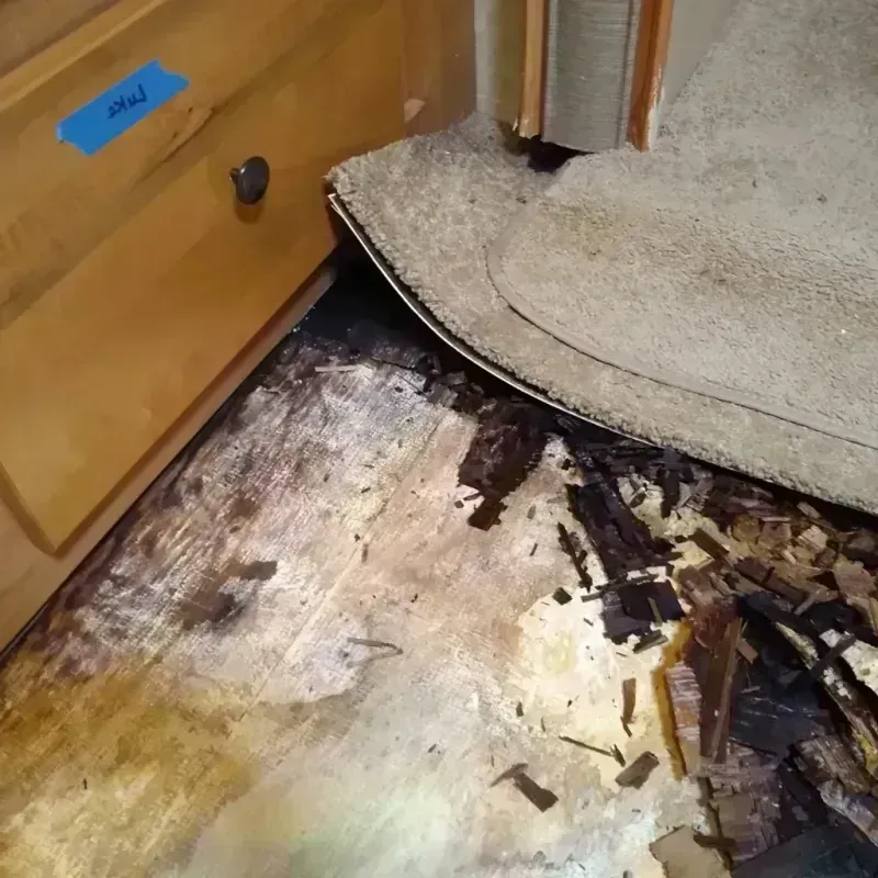 Best Wood Floor Water Damage Service in Hawthorne, CA